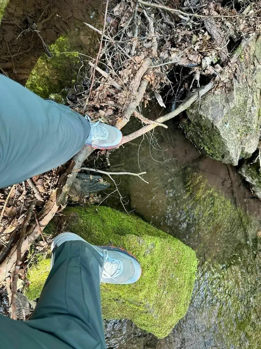 Eine Person steht, von oben fotografiert, auf einem mossbedeckten Felsen am Rand eines kleinen Gewässers.