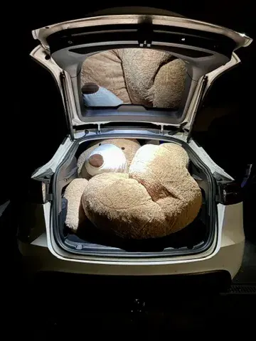 Der Kofferraum eines Tesla Model Y ist geöffnet und einen sehr großen Plüschbärchen, der dicht zusammengedrängt ist. Der Innenraum ist schwach beleuchtet, was den Bären hervorhebt.