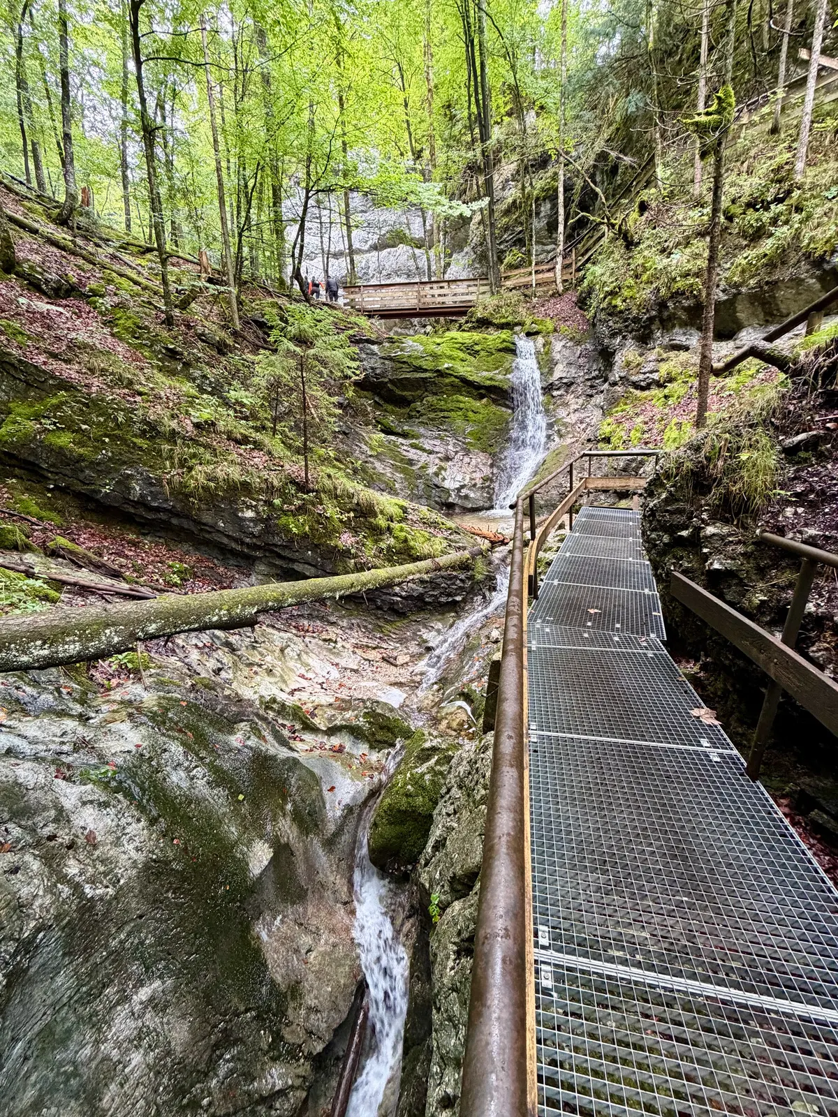 Metallsteg mit Holzgeländer entlang eines Wasserfalls in einer bewaldeten, moosbewachsenen Felsklamm.