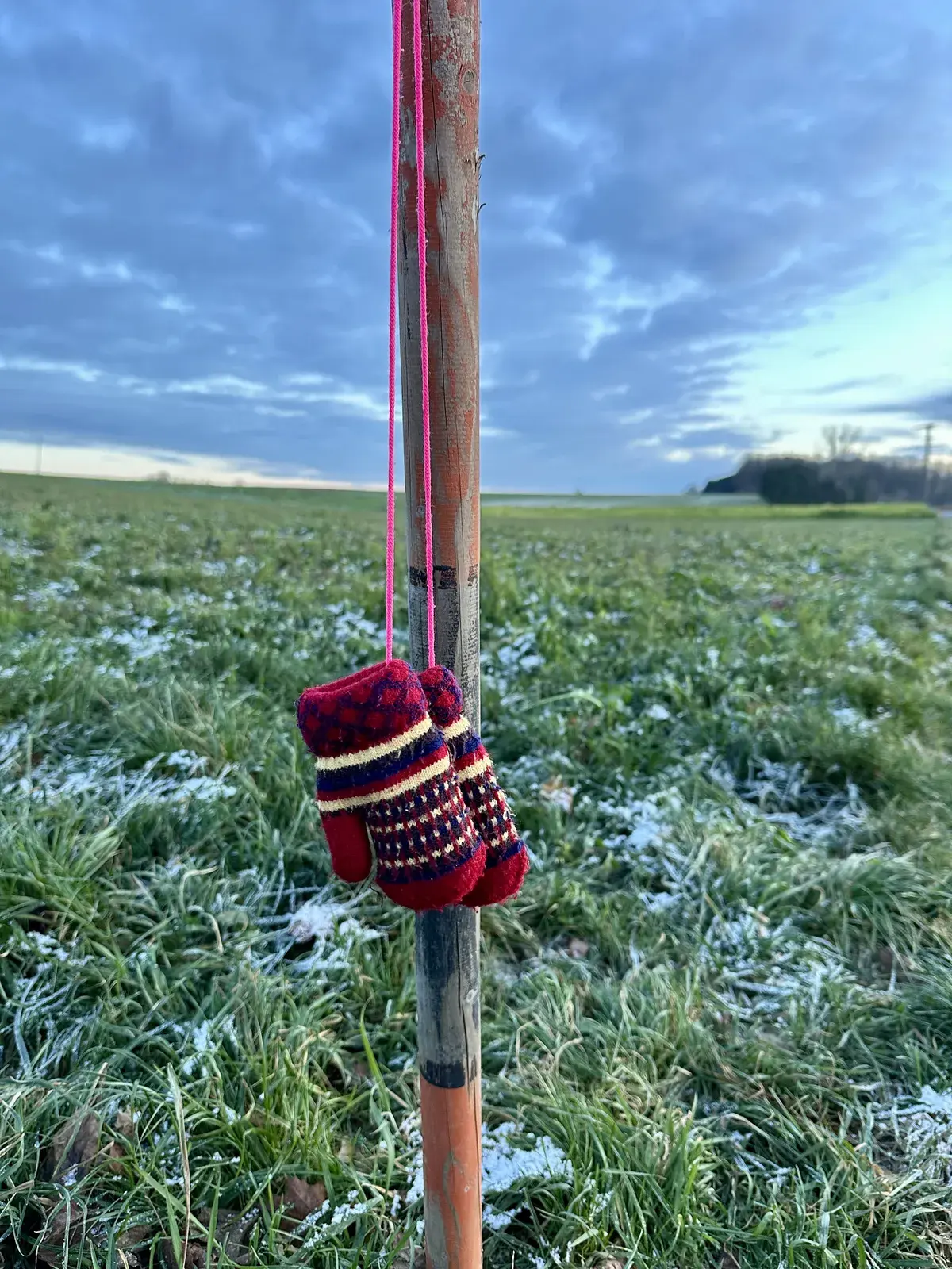 Ein Paar bunte Handschuhe hängt an einem Pfosten vor einer schneebedeckten Wiese unter bewölktem Himmel.