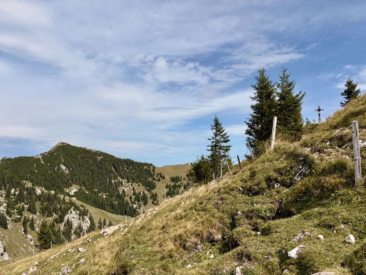 Grashang mit Fichten und Weidezaun in den Bergen, links bewaldete Gipfel unter blauem, leicht bewölktem Himmel