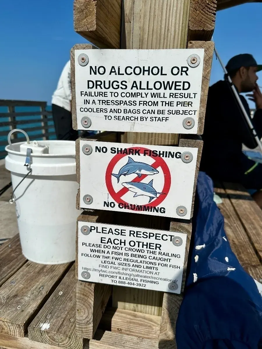Drei Schilder, die an einem Holzpfosten auf einer Pier befestigt sind. Die Regeln verbieten Alkohol/Drogen, Haifischfang, Chumming (Anfüttern) und fordern Respekt und die Einhaltung der Fischereivorschriften.