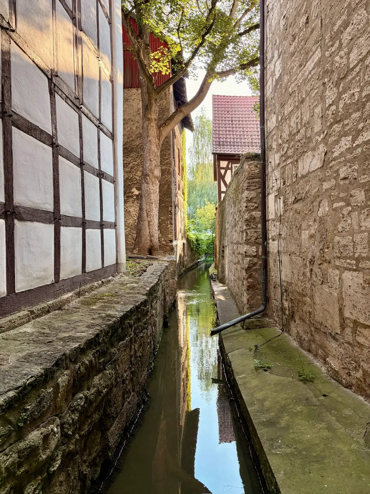 Schmaler Wasserlauf zwischen alten Fachwerk- und Steinmauern in der Mühlhäuser Altstadt. Sonnenlicht fällt durch die Bäume und spiegelt sich im Wasser.