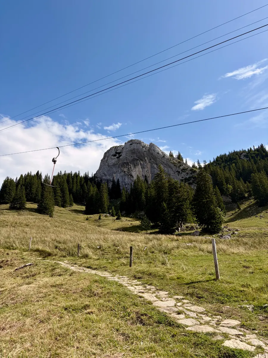 Schmaler Steinpfad über eine Almwiese zum bewaldeten felsigen Taubenstein unter blauem Himmel mit Seilbahn und Stromleitungen.