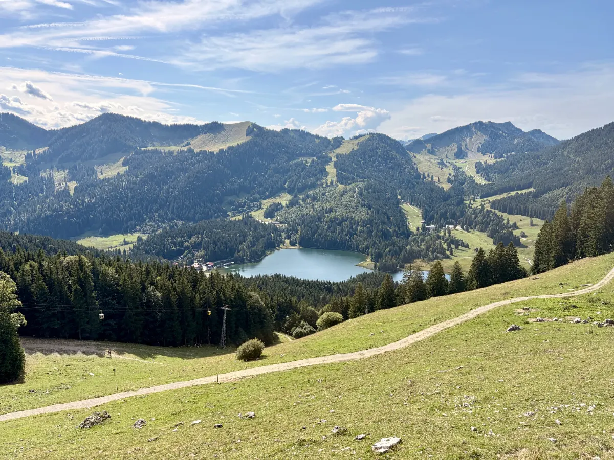 Blick von einer Almwiese mit Weg auf bewaldete Berge und einen See im Tal bei sonnigem Wetter