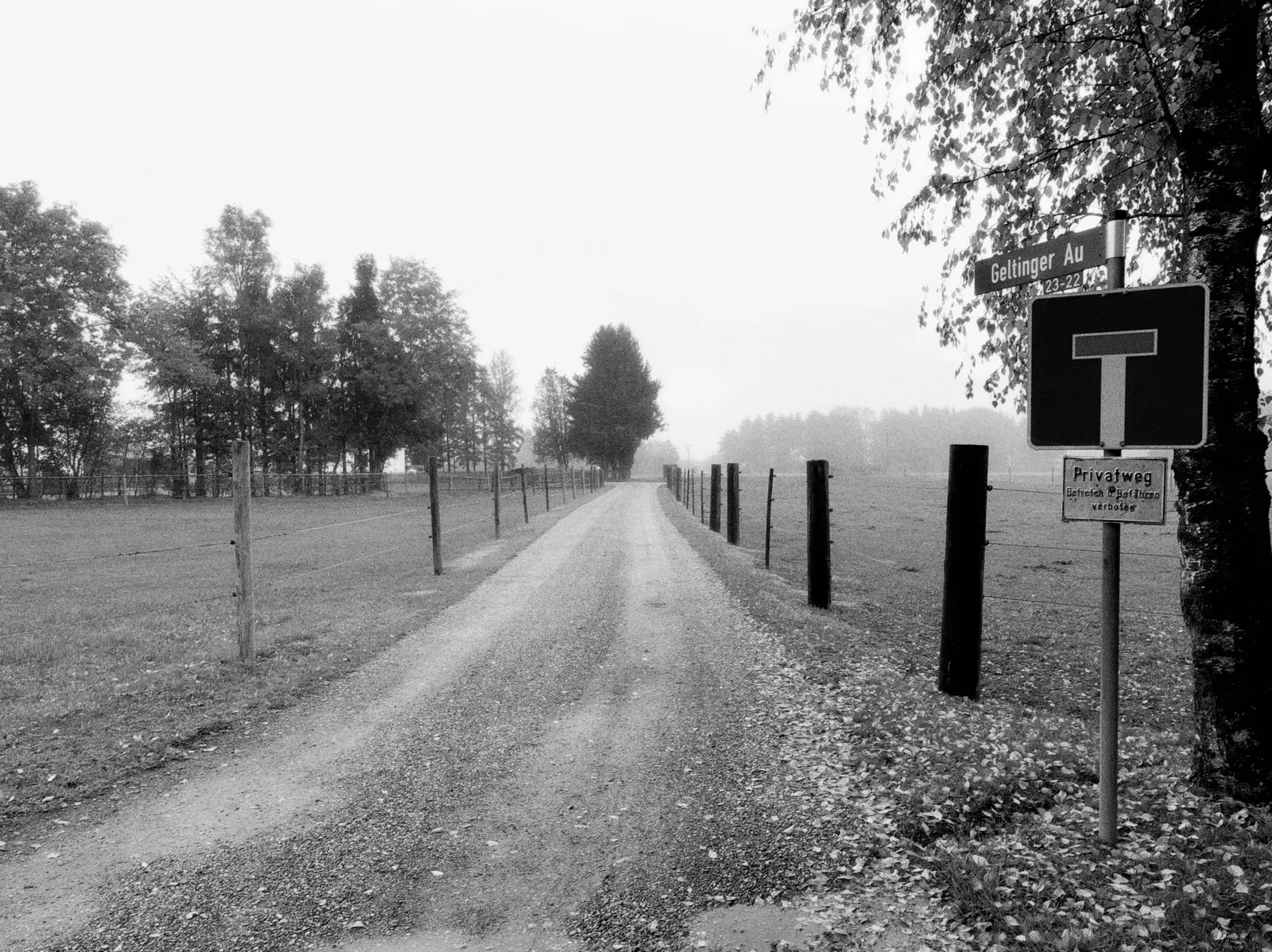 Schmaler Schotterweg zwischen Wiesen und Zaunpfosten im leichten Nebel, rechts ein Sackgassenschild am Straßenrand