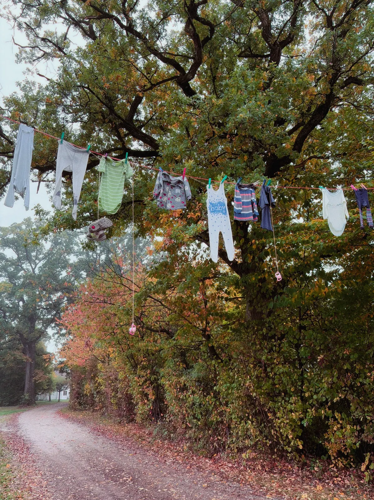 Wäscheleine mit Kinderkleidung über einem herbstlichen Schotterweg unter großen Bäumen mit dichtem Laub