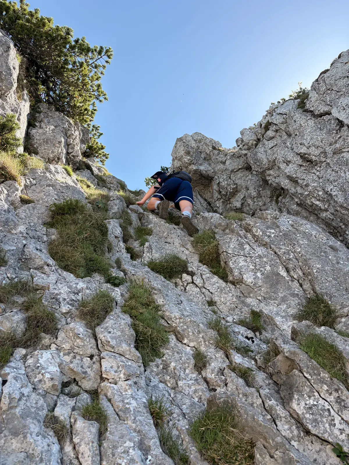 Ein Kletterer steigt in einer steilen Felsrinne am Buchstein nach oben. Zwischen den hellen Kalkfelsen wachsen Grasbüschel und einzelne Sträucher.