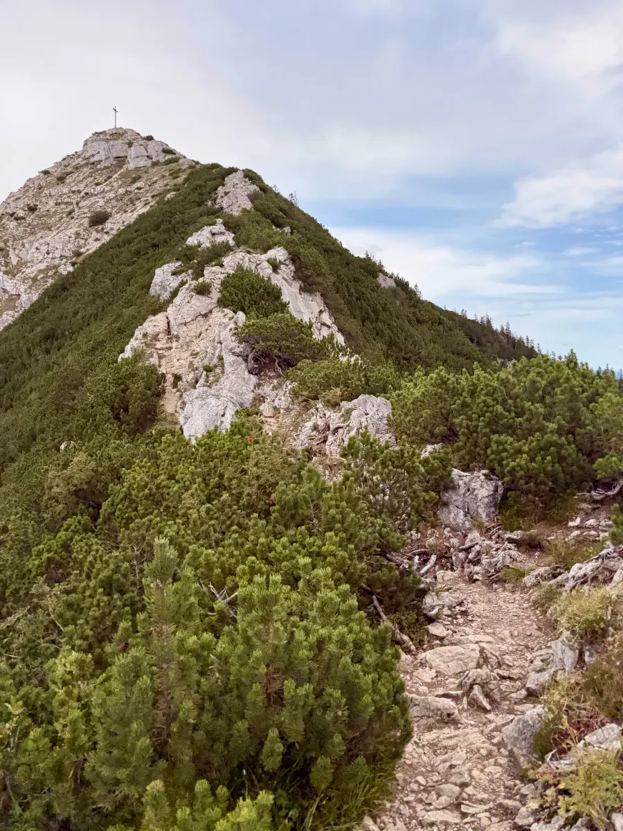 Schmaler, felsiger Bergpfad durch Latschenkiefern auf einem Grat, links ein Gipfel mit Kreuz unter leicht bewölktem Himmel