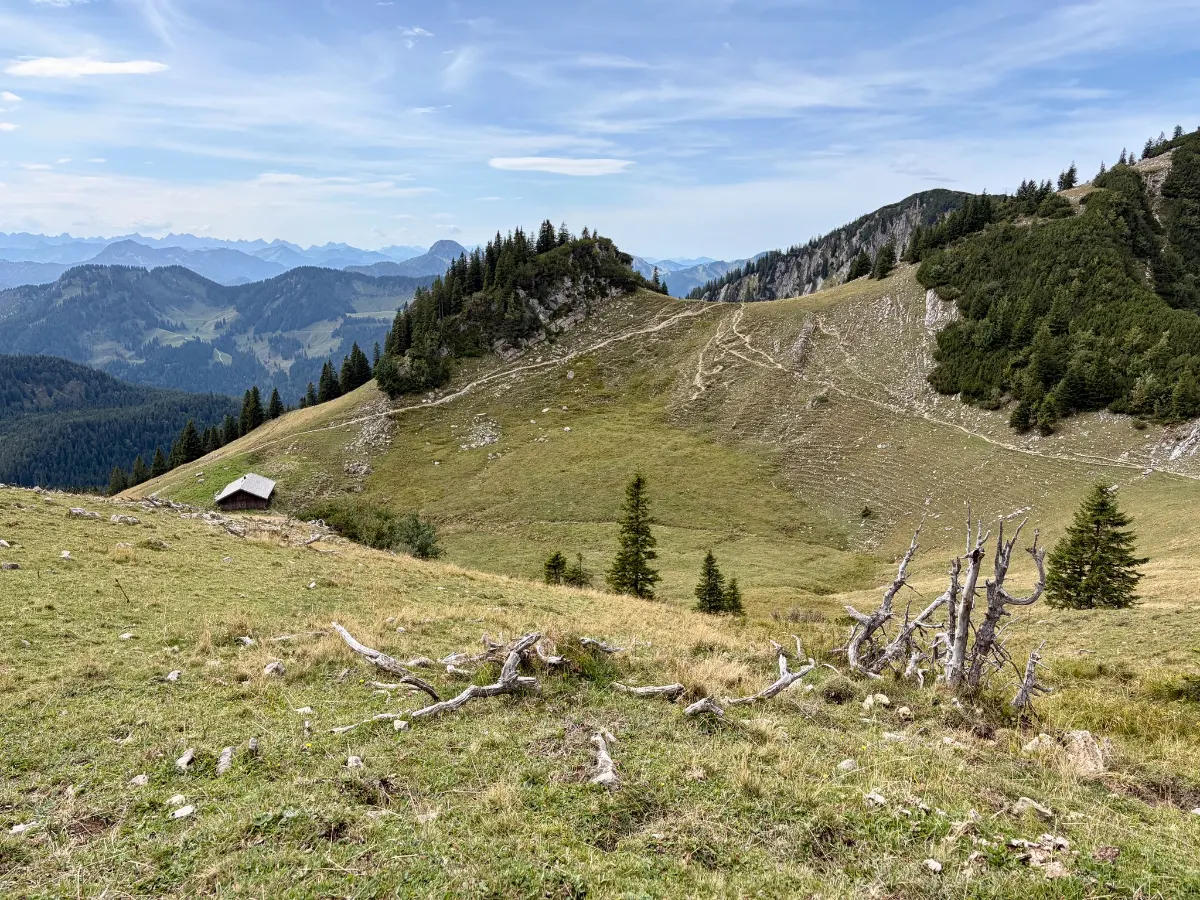 Almwiese mit kleinem Holzhaus, abgestorbenen Ästen und Blick auf bewaldete Bergrücken und felsige Gipfel unter blauem Himmel