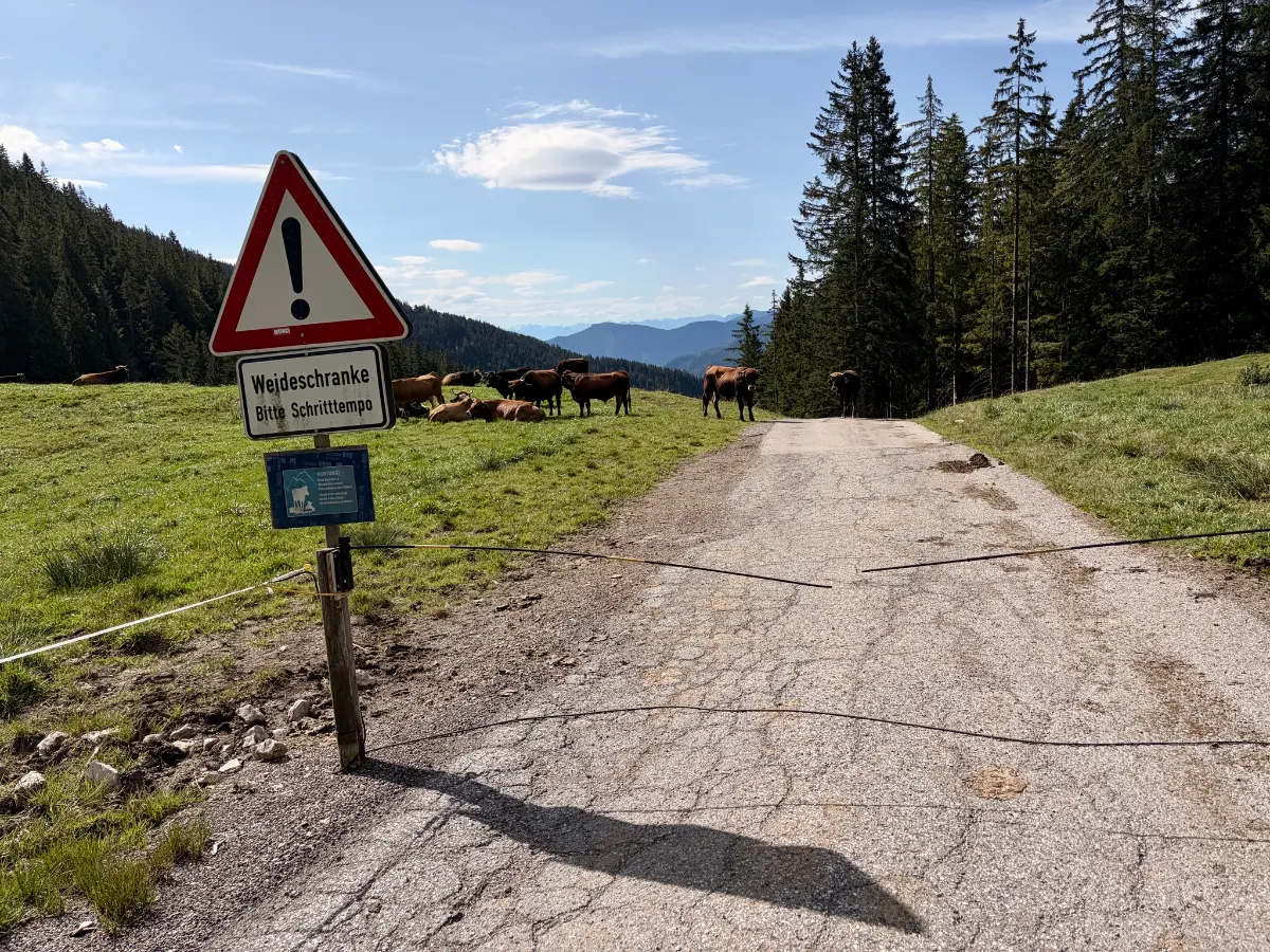Weidezaun über einem Schotterweg, daneben Warnschild „Weideschranke durch Schaltmagnet“; Kühe auf einer Almwiese vor Wald und Bergen.
