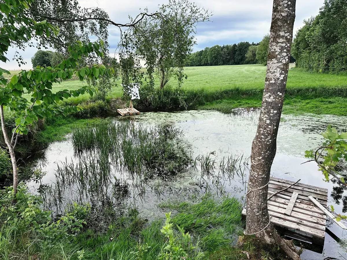 Ein ruhiger Teich ist von üppigem, grünem Gras umgeben. An einem Ufer steht ein Baum, während auf der gegenüberliegenden Seite eine kleine Plattform aus Holz zu sehen ist. Einige Wasserpflanzen sind im Teich sichtbar, und die Umgebung wirkt friedlich und ländlich.