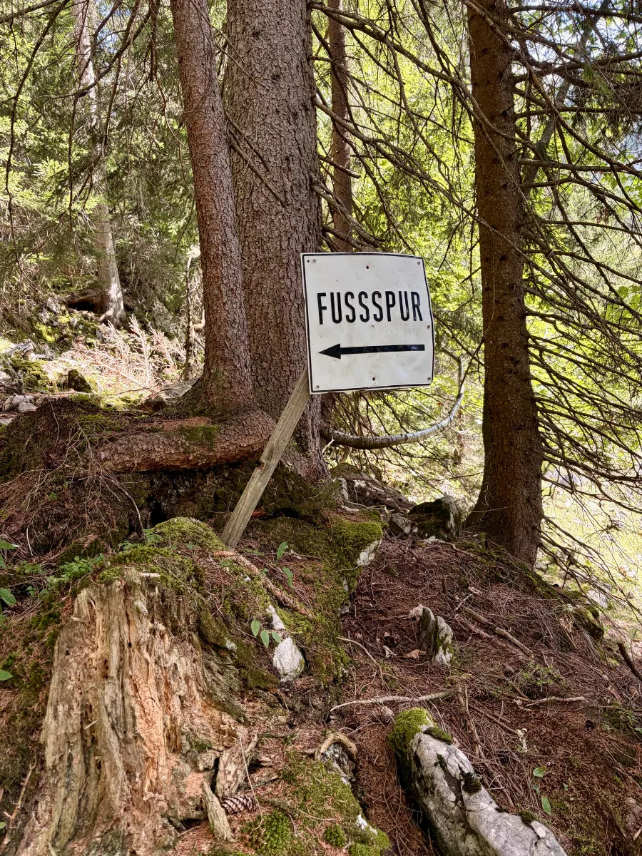 Schild „Fussspur“ mit Pfeil nach links an einem schmalen Waldpfad zwischen Fichten