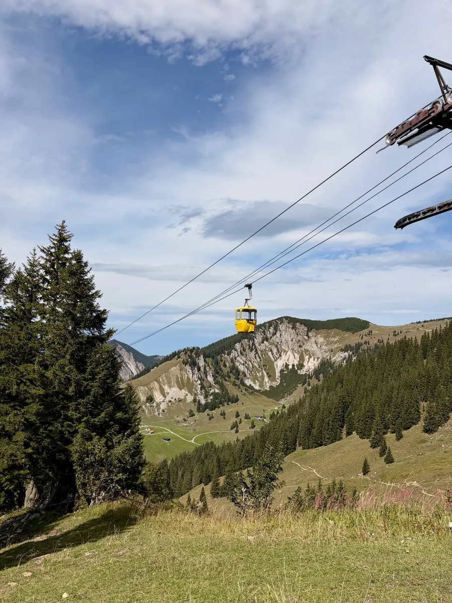 Gelbe Gondel der Taubensteinbahn über Almwiesen und bewaldeten Berghängen vor felsigen Gipfeln unter bewölktem Himmel