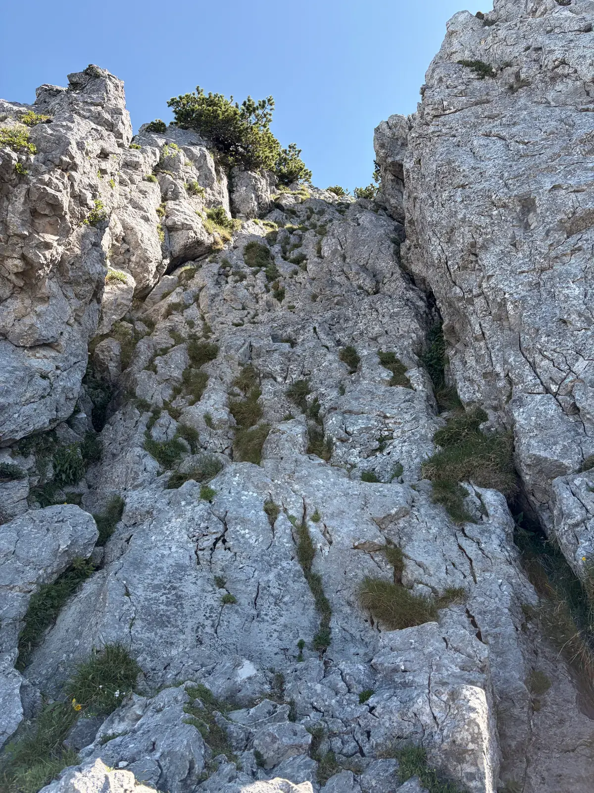 Steile, felsige Rinne am Buchstein mit rauem Kalkgestein und kleinen Graspolstern, durch die der Aufstieg zum Gipfel führt.