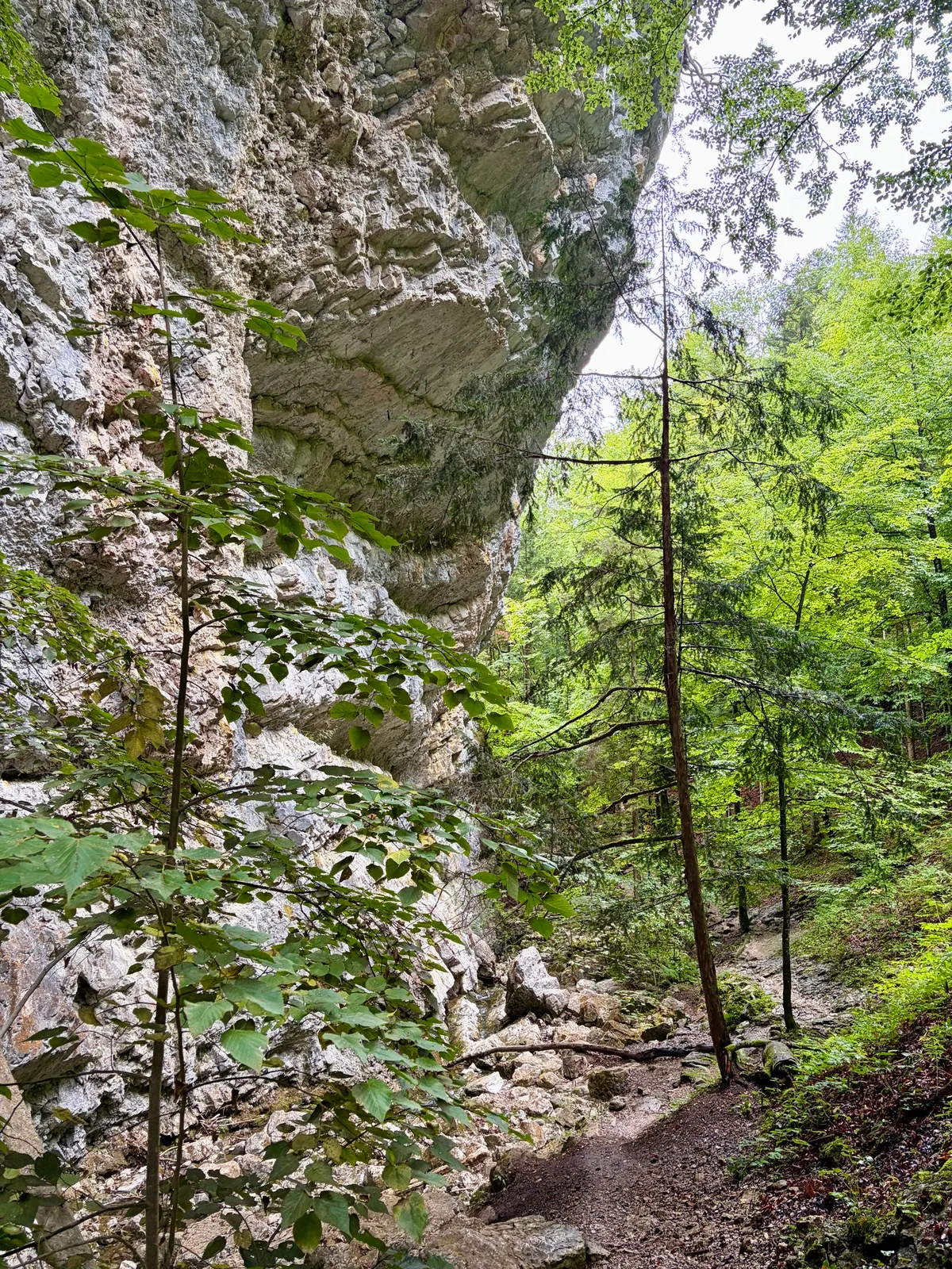 Schmaler Waldpfad unter einer überhängenden Felswand mit dichtem grünem Laubwald.