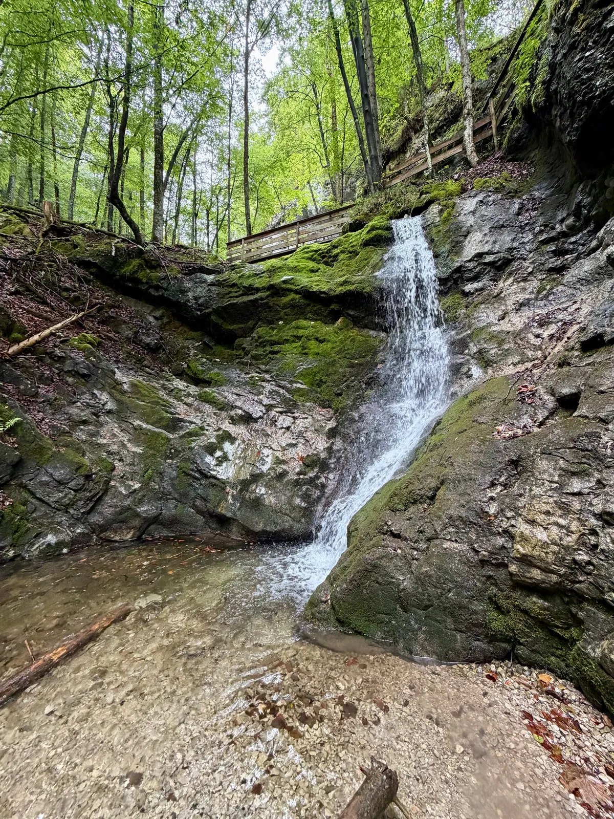 Wasserfall in einer bewaldeten Felsklamm mit moosbewachsenen Steinen, Holzgeländern und flachem Bachbett.