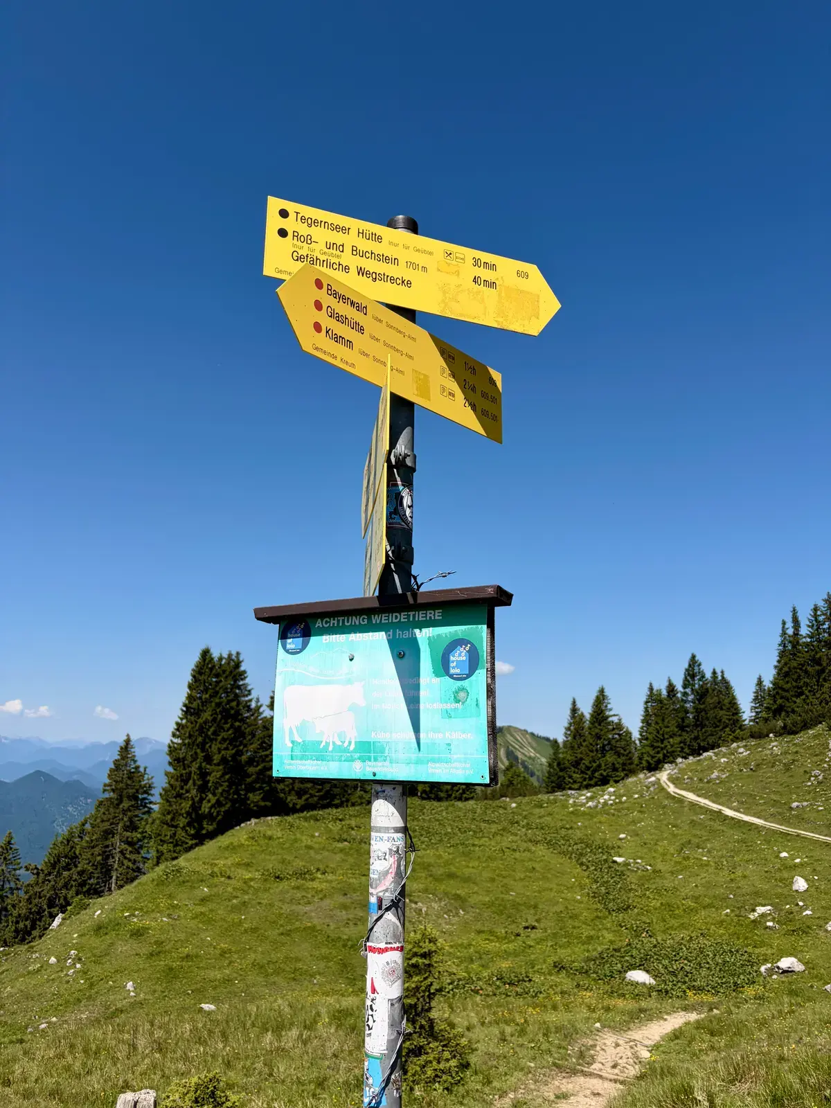 Gelbe Wegweiser und eine Wanderkarte auf einer Almwiese am Roß- und Buchstein. Ein schmaler Pfad führt unter blauem Himmel weiter den Hang hinauf.