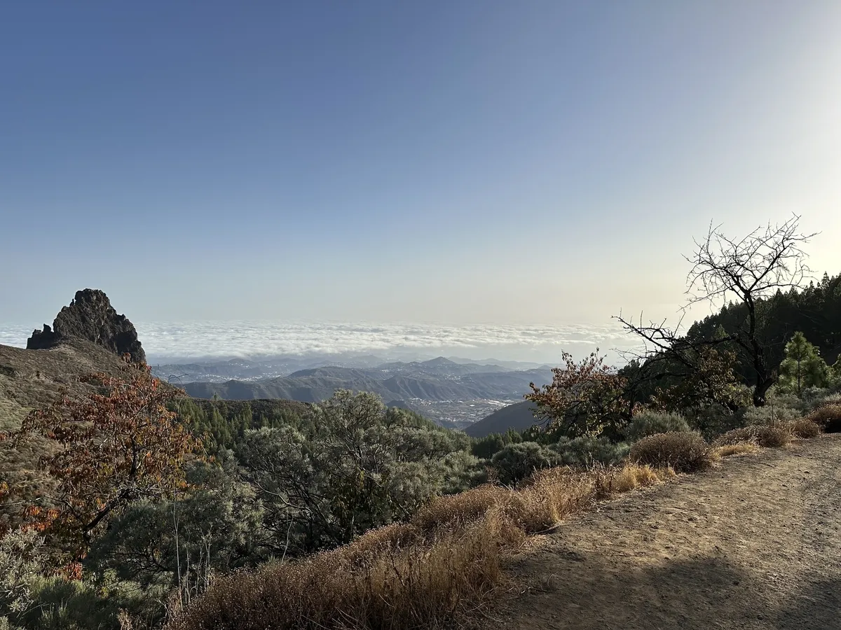 Eine landschaftliche Aussicht zeigt ein Gebirge mit Bäumen im Vordergrund und Wolken am Horizont.