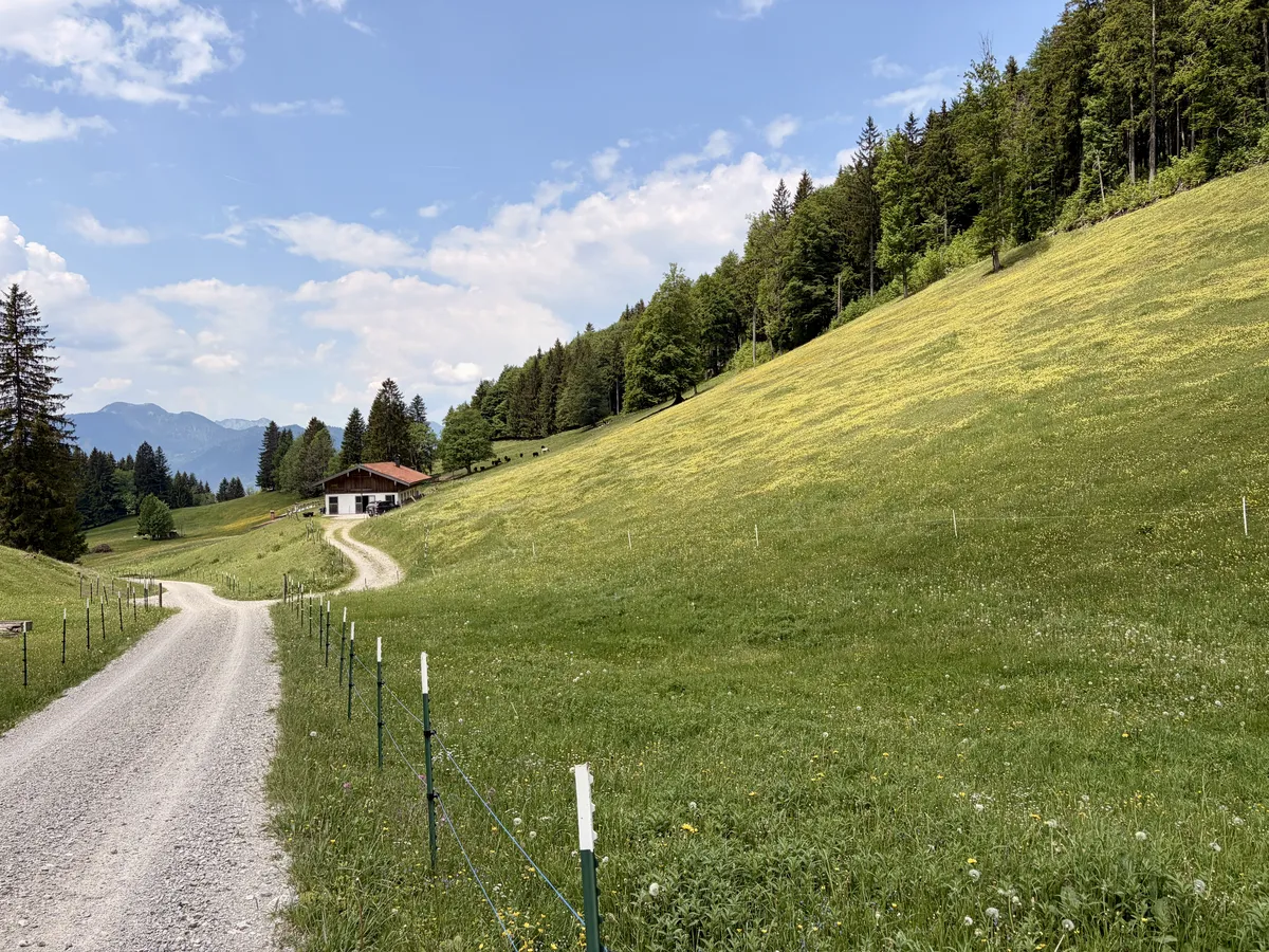 Eine steinige Straße führt zu einem Bauernhaus, umgeben von einer weitläufigen grünen Wiese. Im Hintergrund erheben sich sanfte Hügel und bewaldete Bereiche unter einem blauen Himmel mit leichten Wolken.