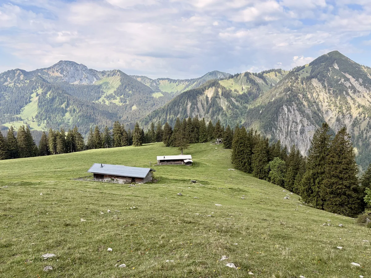Eine grüne Alpfläche mit zwei rustikalen Holzhäusern, umgeben von Bäumen und einem malerischen Bergpanorama im Hintergrund, auf dem sich sanfte Hügel und steile Berghänge abwechseln. Der Himmel ist leicht bewölkt und lässt die Landschaft in sanftem Licht erstrahlen.
