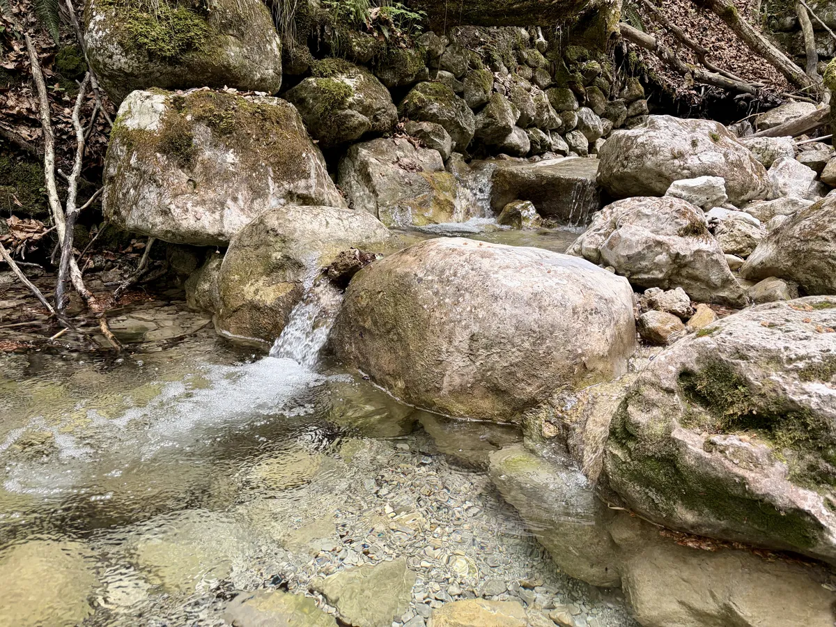 Eine kleine Wasserstelle fließt sanft zwischen großen, moosbedeckten Steinen und Kies. Der klare Wasserlauf schimmert im Licht, während sich das grüne Blätterdach darüber erstreckt.