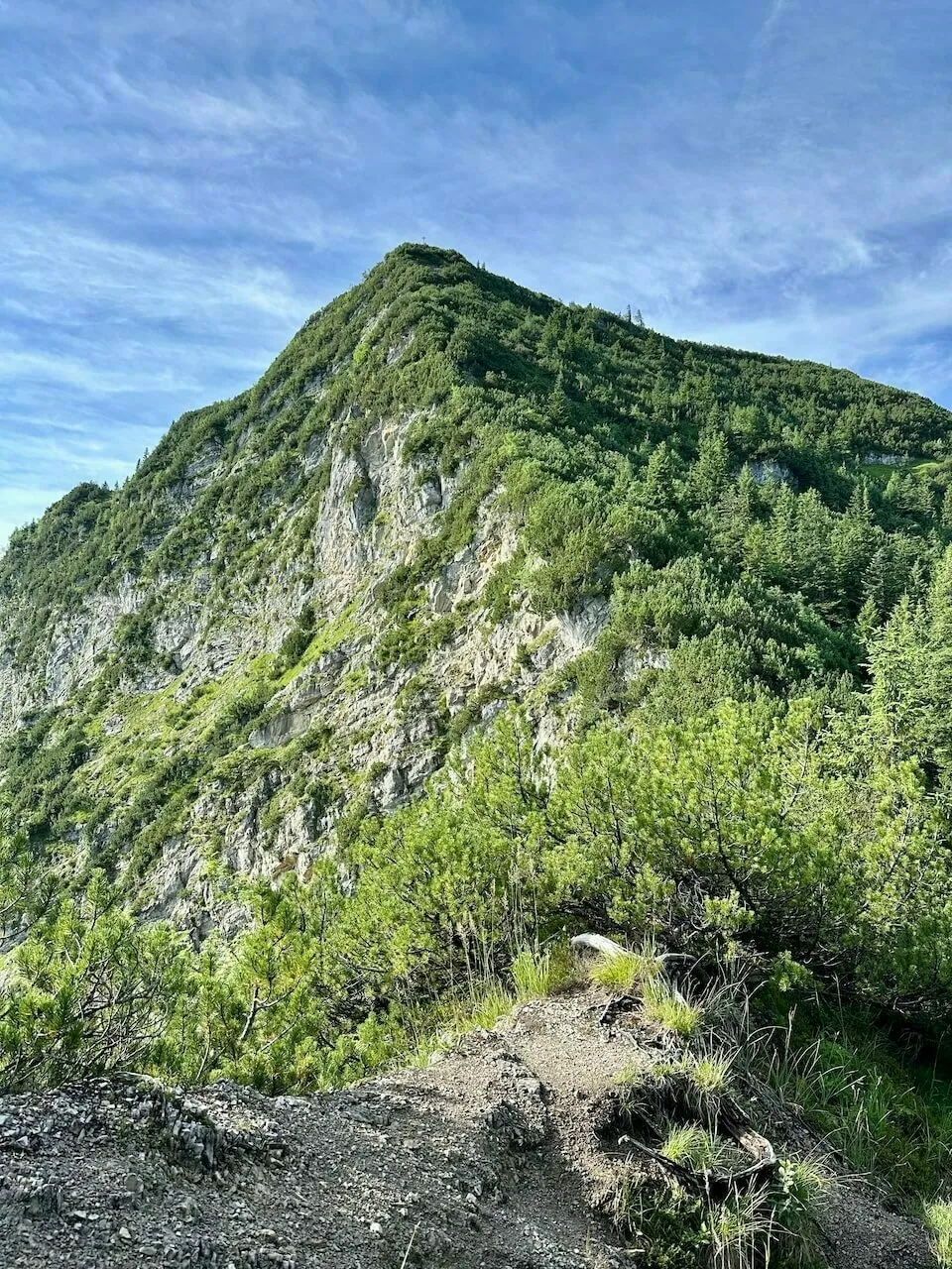 Nahaufnahme eines steilen, felsigen und mit Latschenkiefern bewachsenen Berges (Traithen-Gipfel) aus der Froschperspektive
