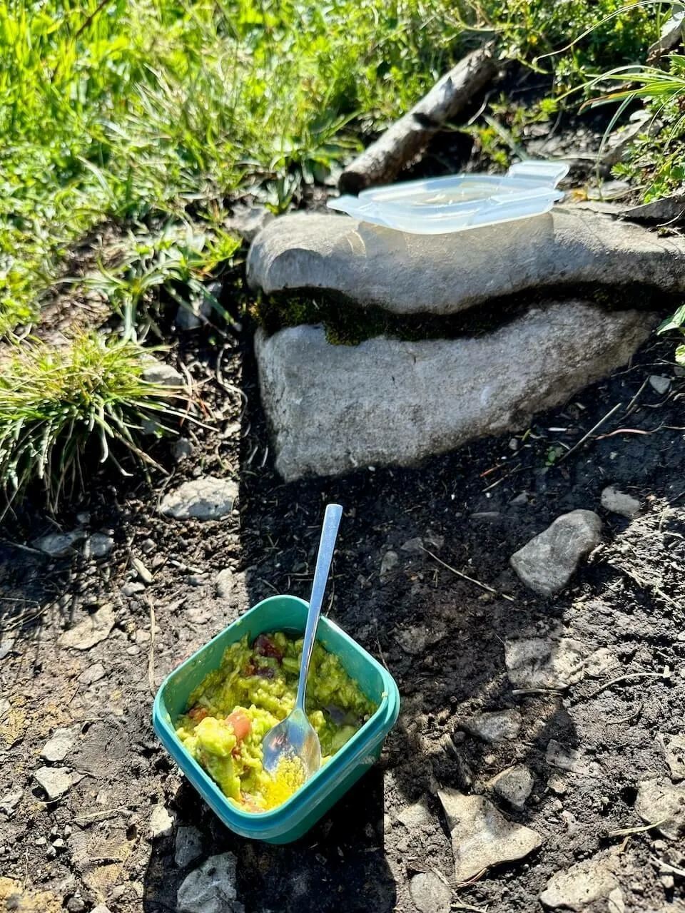 Nahaufnahme einer kleinen, quadratischen Plastikschale mit Guacamole und einem Löffel auf dem schlammigen Waldboden, im Hintergrund ein Felsen