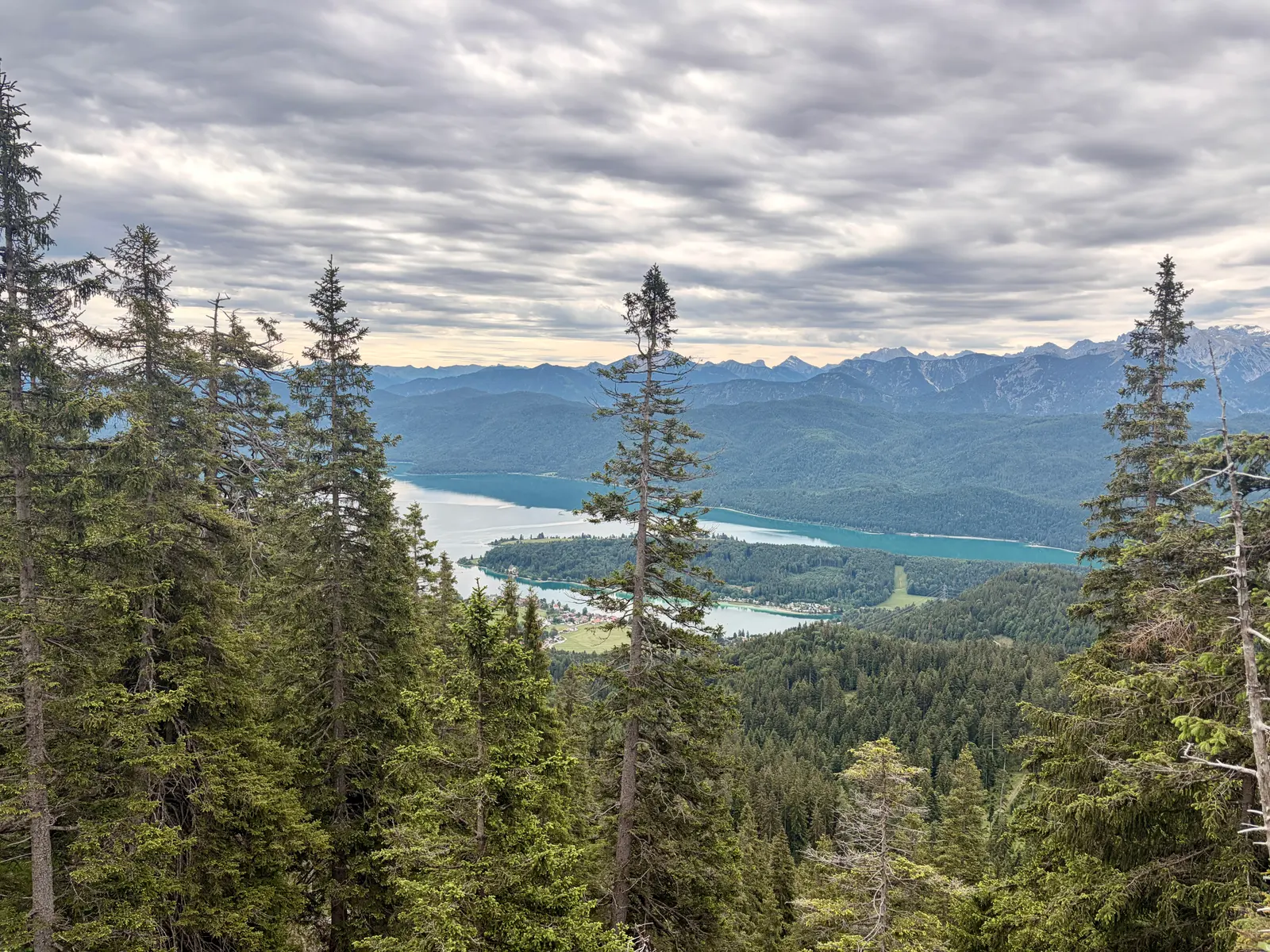 Blick vom bewaldeten Aufstieg am Heimgarten auf den türkisblauen Walchensee. Dichte Fichten rahmen die Aussicht auf die Berge unter einer geschlossenen Wolkendecke.
