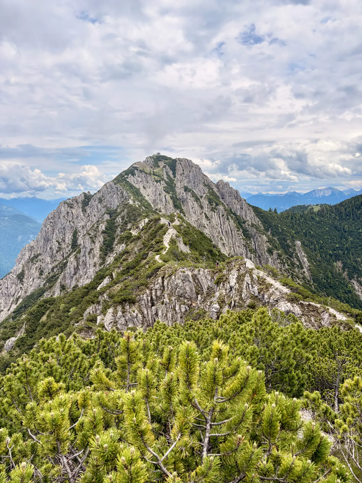 Felsiger Gratweg zwischen Heimgarten und Herzogstand, umgeben von Latschenkiefern. Über den grauen Gipfeln hängt eine graue Wolkendecke.