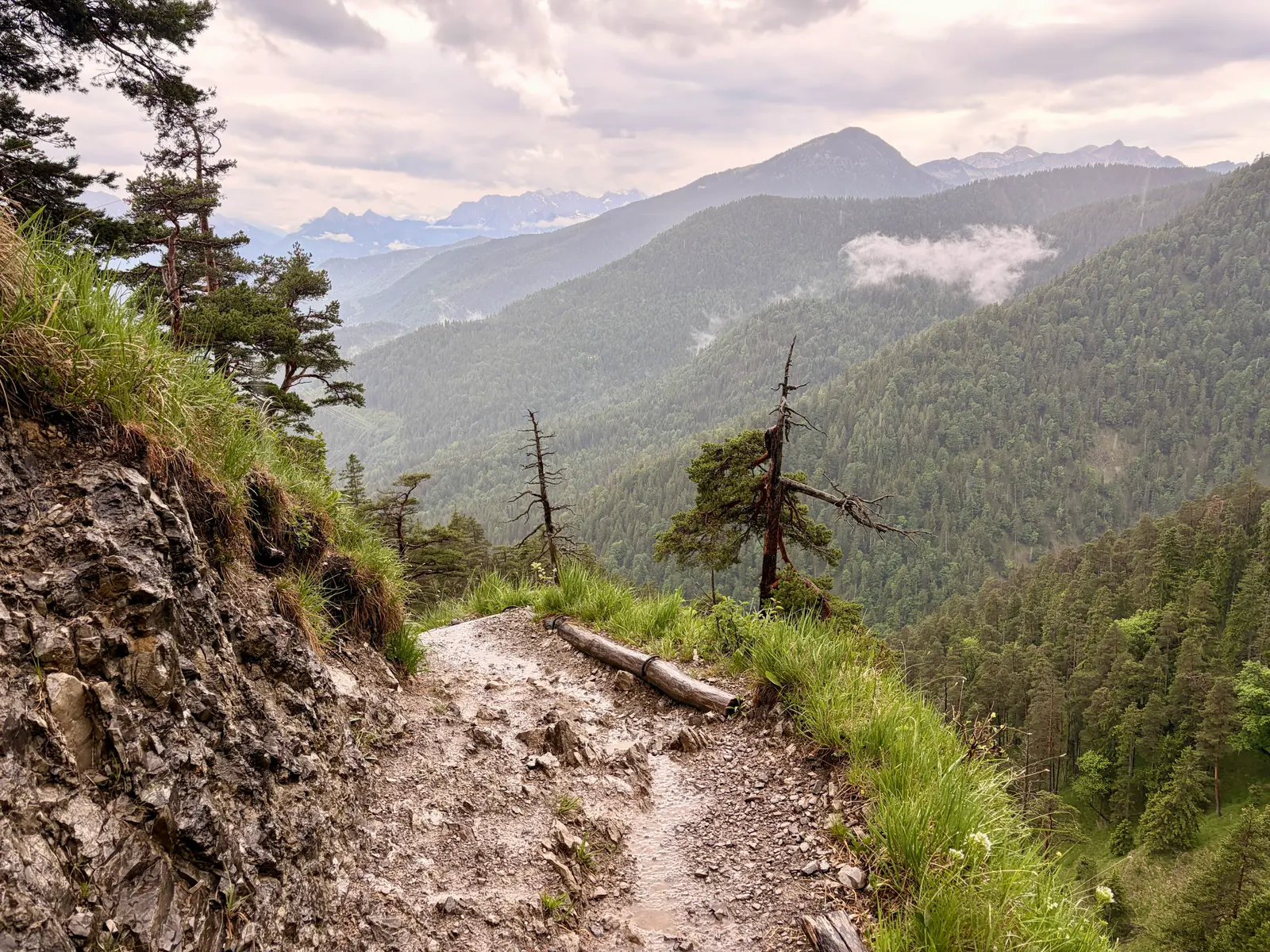 Schmaler, schlammiger Bergpfad am Hang des Herzostands mit Wurzeln und Felsen, dahinter bewaldete Täler und Gipfel. Tief hängende Wolken und Nebelfetzen kündigen den Wetterumschwung an.