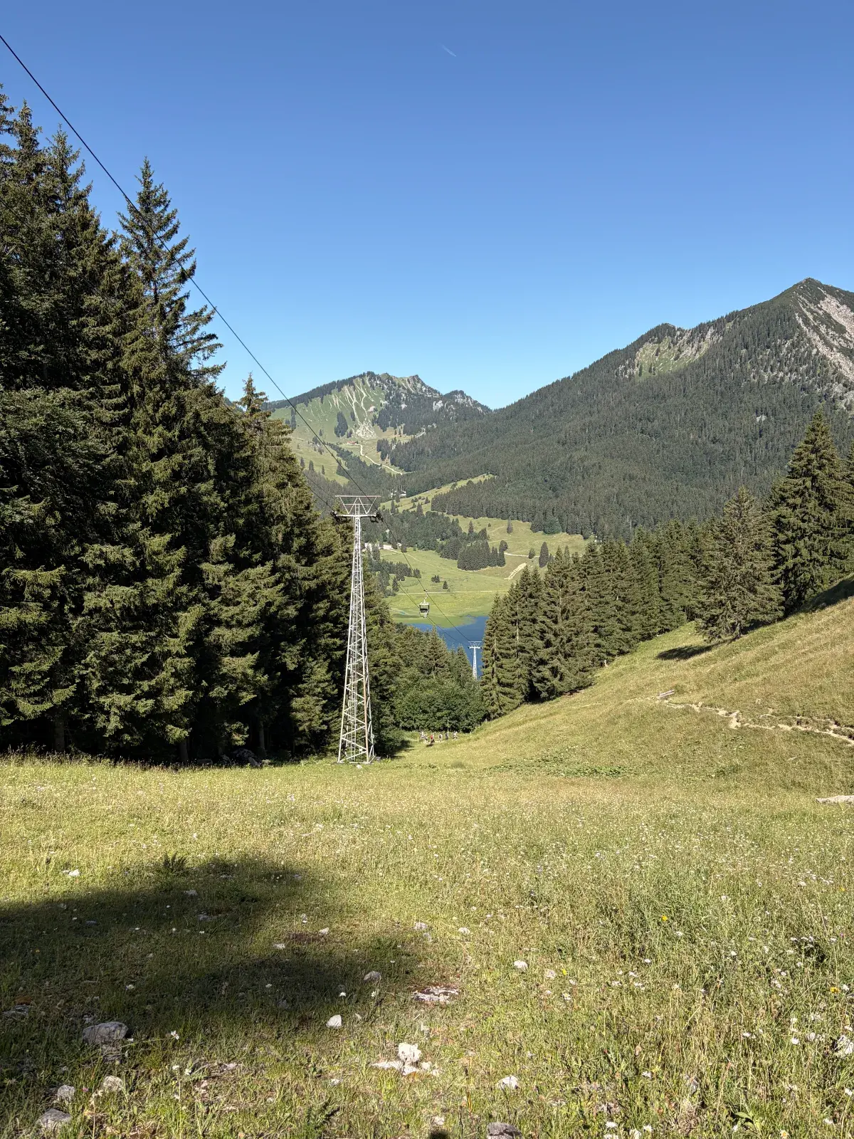 Blick vom Wanderweg am Taubenstein über eine Wiese und Nadelwald hinunter zum Spitzingsee, mit Bergen unter klarem blauem Himmel.