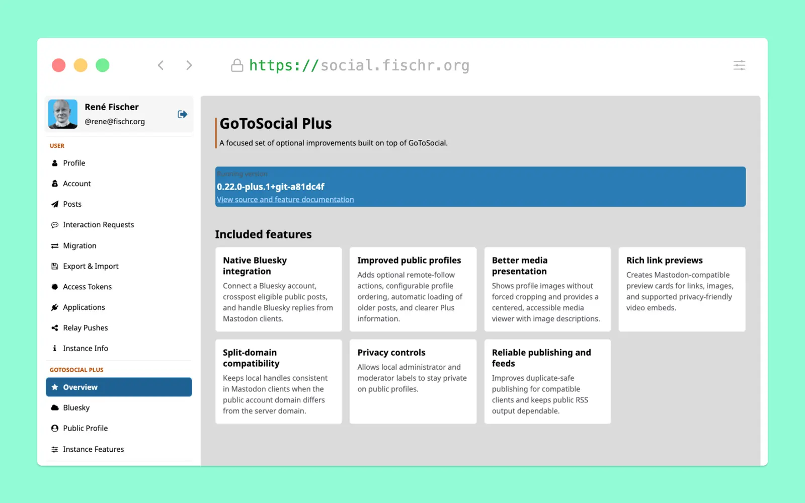 Screenshot vom Einstellungsbereich von „GoToSocial Plus“.