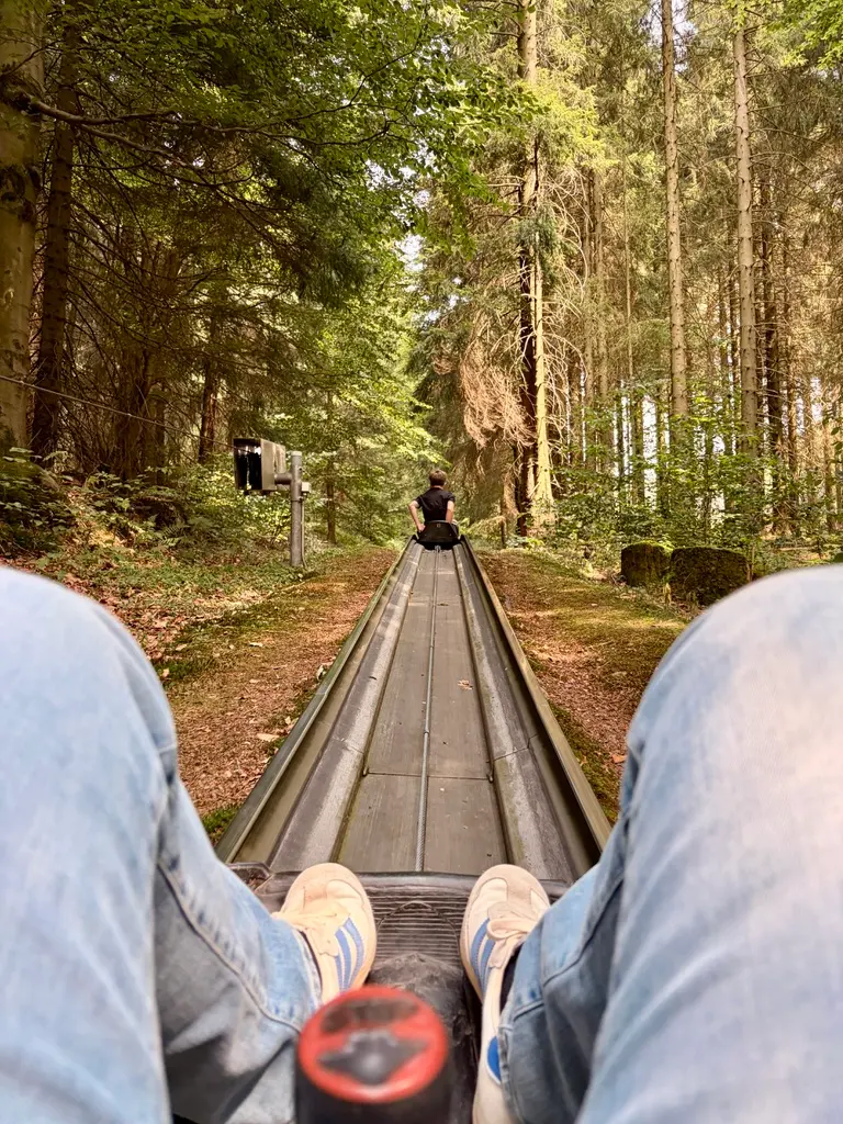Blick aus einer Sommerrodelbahn: Zwischen den eigenen Beinen verläuft die Schiene durch einen dicht bewaldeten, schattigen Wald.